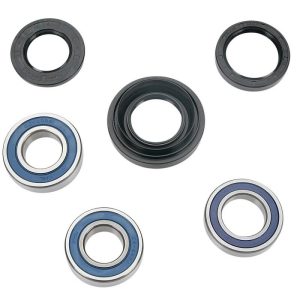 All Balls Racing Rear Wheel Bearing and Seal Kit ATV Honda TRX350 TRX450 TRX500-0