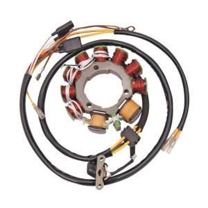Ricks Motorsport Electric Polaris Stator 21-551-0