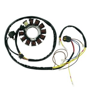 Ricks Motorsport Electric Polaris Stator 21-556-0