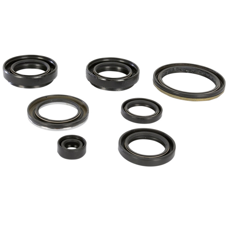 Moose Oil Seal Set Arctic Cat & Suzuki 400 2x4 Automatic FIS LTA400 KingQuad 2x4
