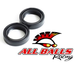 All Balls Racing Fork Seal Kit 55-107