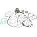 Hot Rods Complete Crankshaft Bottom End Kit For Honda TRX400EX 1999 - 2004