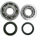 Hot Rods Main Bearing and Seal Kit For Honda - K063