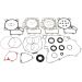 Moose Racing Complete Gasket Set W/ Oil Seals Arctic Cat & Kawasaki 0934-0701