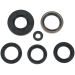 Moose Oil Seal Set Arctic Cat Kawasaki & Suzuki / KRF750 Teryx 750 4x4 04-06