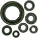 Moose Racing Oil Seal Set Honda 0935-0394