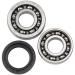 Hot Rods Counter Balancer Bearing Kits For Honda - BBK0029