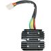 Ricks Electric Regulator Rectifier 10-105