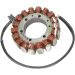 Ricks Magneto Stator Aprilia RST1000 Futura 2001-04 & ETV1000 Caponord 2001-2007