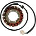 Ricks Electric Magneto Stator 21-006