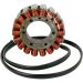 Ricks Magneto Stator Aprilia RSV1000 Mille R 2004-2008 & RSV1000 Tuono 2006-2009