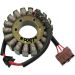 Ricks Electric Stator 21-0097