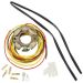 Ricks Motorsport Electric Stator 21-0099H