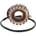 Ricks Electric Magneto Stator Ducati Monster 620 696 750 800 900 & Sport 620