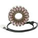 Ricks Electric Magneto Stator 21-011