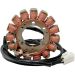 Ricks Electric Magneto Stator Ducati 620 695 696 750 796 800 900 996 1000 1100