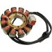 Ricks Electric Hot Shot Magneto Stator Buell 1125CR 2009 - 2010