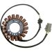 Ricks Electric Magneto Stator Buell 1125CR 1125R 2008