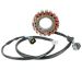 Ricks Motorsport Electric Stator 21-051