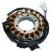Ricks Motorsport Electric Stator 21-053