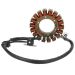 Ricks Motorsport Electric Stator 21-054
