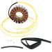 Ricks Motorsport Electric Stator 21-056