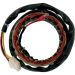 Ricks Electric Magneto Stator 21-101