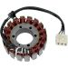 Ricks Electric Magneto Stator 21-110