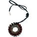 Ricks Electric Magneto Stator 21-111