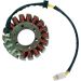 Ricks Electric Magneto Stator 21-113