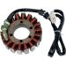 Ricks Electric Magneto Stator 21-116