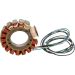 Ricks Electric Magneto Stator 21-123