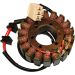 Ricks Electric Magneto Stator 21-126