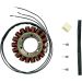 Ricks Electric Magneto Stator 21-127
