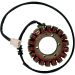Ricks Electric Magneto Stator 21-128