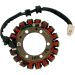 Ricks Electric Magneto Stator 21-131