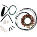 Ricks Electric Magneto Stator 21-135