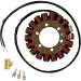 Ricks Electric Magneto Stator 21-137
