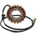 Ricks Electric Magneto Stator 21-138