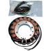 Ricks Electric Magneto Stator 21-141