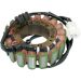 Ricks Electric Magneto Stator 21-145