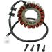 Ricks Electric Magneto Stator 21-146