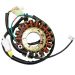 Ricks Motorsport Electric Stator 21-149