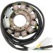 Ricks Motorsport Electric Stator 21-150