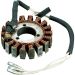 Ricks Electric Magneto Stator Kawasaki KZ1000 KZ1000J KZ1000K KZ1100 KZ1100A