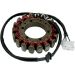Ricks Electric Magneto Stator Kawasaki Ninja ZX-9R 1998-2003