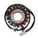 Ricks Motorsport Electric Stator 21-210