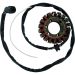 Ricks Electric Magneto Stator 21-216