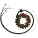 Ricks Electric Magneto Stator 21-225
