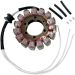Ricks Motorsport Electric Stator 21-230